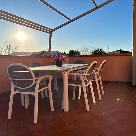 Albi'S House,Terrazza ,Wi-Fi, Parcheggio, Ac Lejlighed Lucca Eksteriør billede