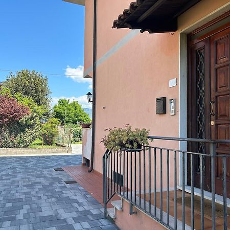 Albi'S House,Terrazza ,Wi-Fi, Parcheggio, Ac Lejlighed Lucca Eksteriør billede