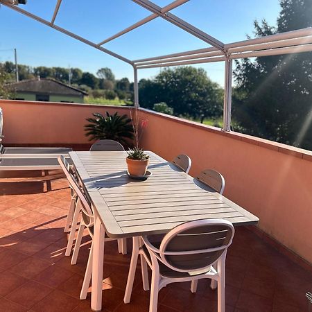 Albi'S House,Terrazza ,Wi-Fi, Parcheggio, Ac Lejlighed Lucca Eksteriør billede