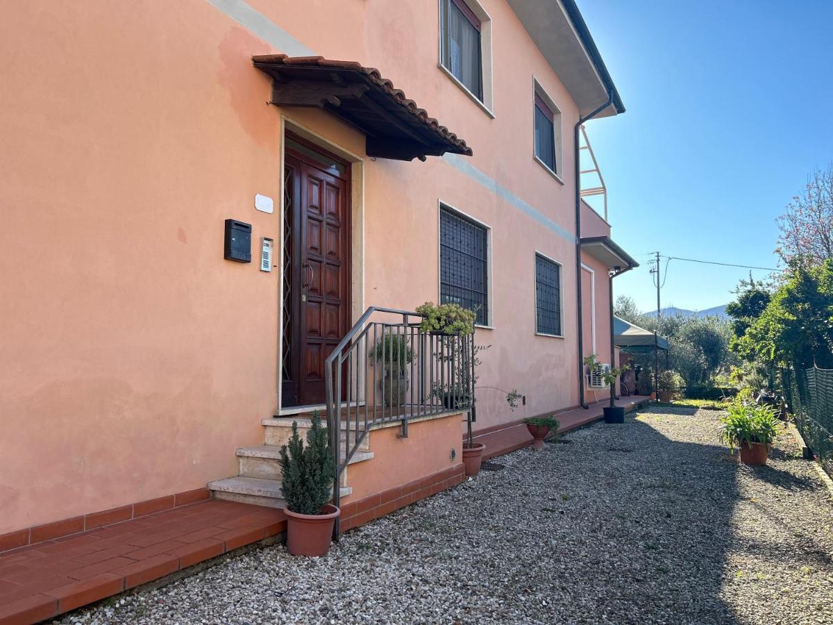 Albi'S House,Terrazza ,Wi-Fi, Parcheggio, Ac Lejlighed Lucca Eksteriør billede