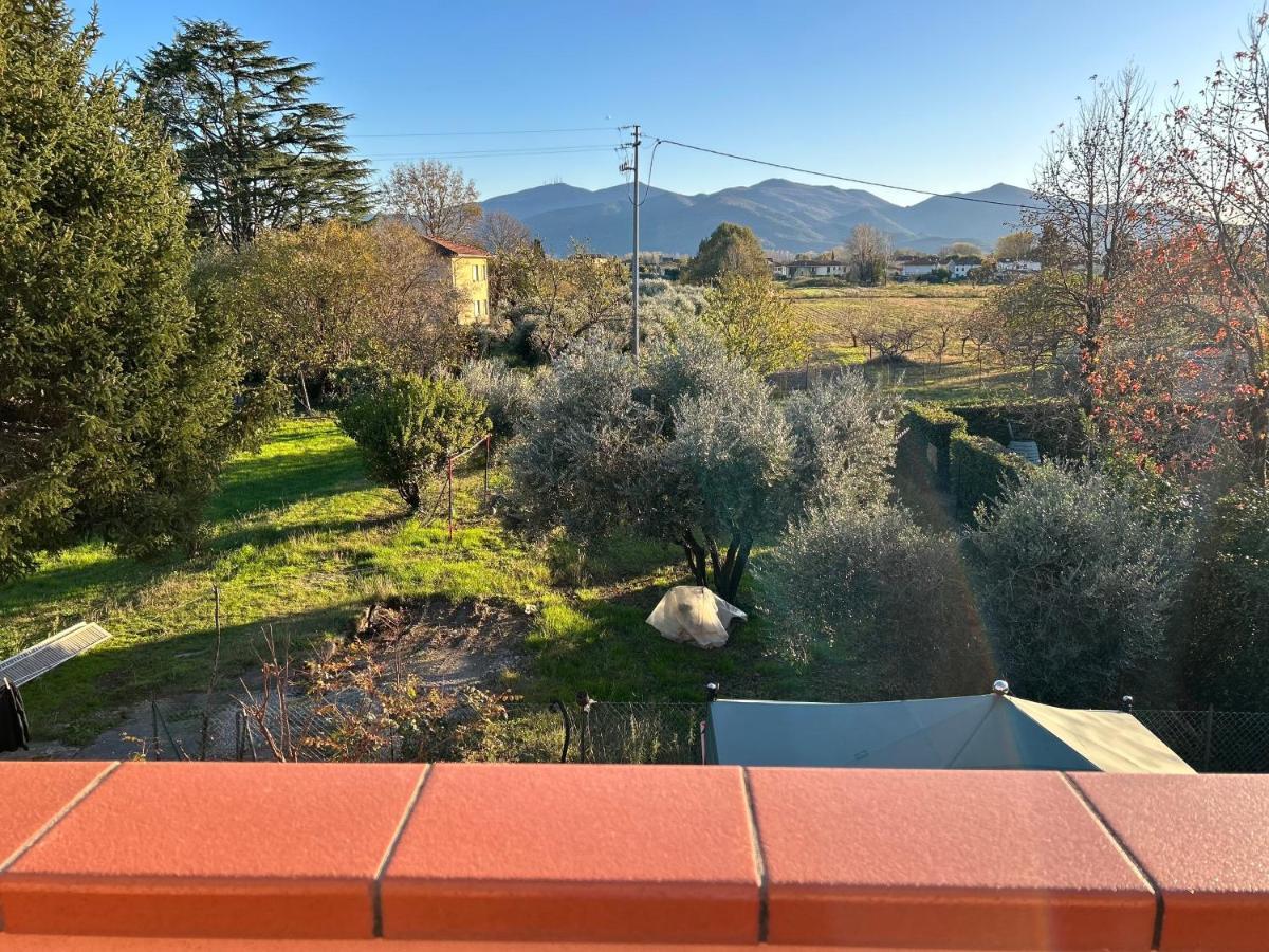 Albi'S House,Terrazza ,Wi-Fi, Parcheggio, Ac Lejlighed Lucca Eksteriør billede