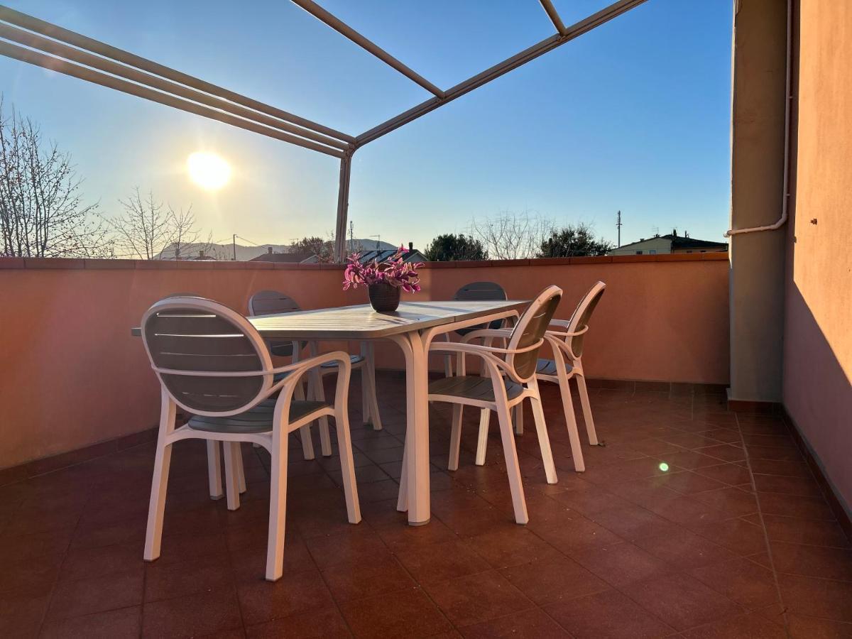 Albi'S House,Terrazza ,Wi-Fi, Parcheggio, Ac Lejlighed Lucca Eksteriør billede